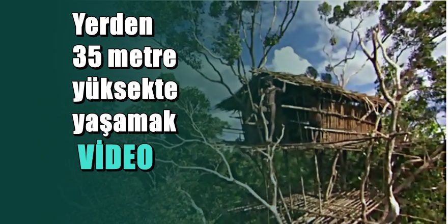 Ağaç evde yaşayıp insan eti yiyorlar