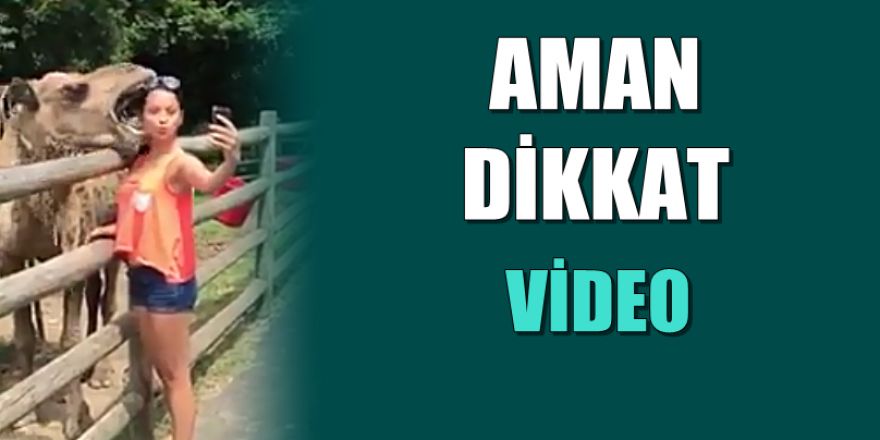 Hayvanlarla şaka olmaz görüntüleri