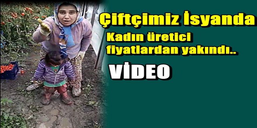 Sosyal Medya domates üreticisi kadının isyanını konuşuyor