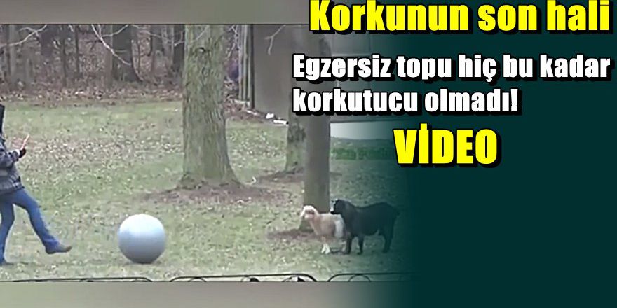 Keçilerin plates görüntüleri ilgi odağı oldu