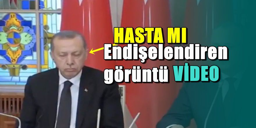 Erdoğan'ın Moldova görüntüleri endişelendirdi