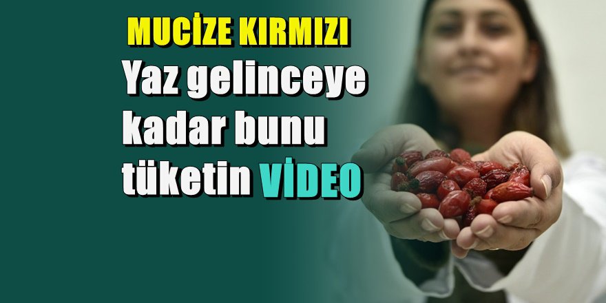 SADECE 100 GRAMINDA Kuş Burnu mucizesi ile tanışın