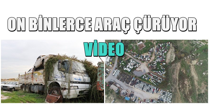 Milyonlarca liralık araçlar böyle çürüyor