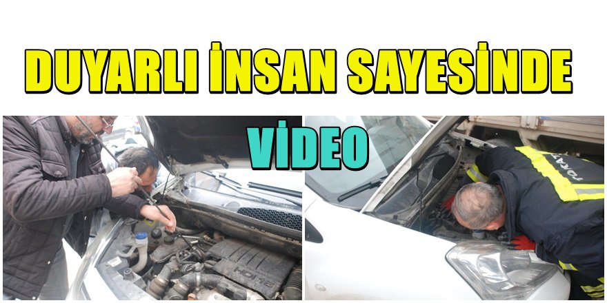 Aracın motoruna giren yavru kedi ölümden böyle kurtuldu