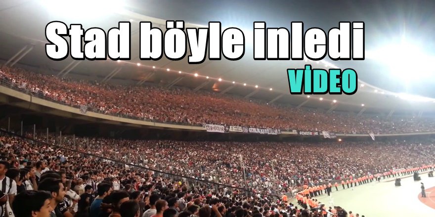 Beşiktaş Taraftarı Stadı Böyle İnletti; " Her şey Çok Güzel Olacak "