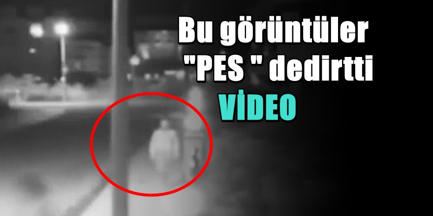 Ordu'da Direk İle Cinsel İlişki Kamerada