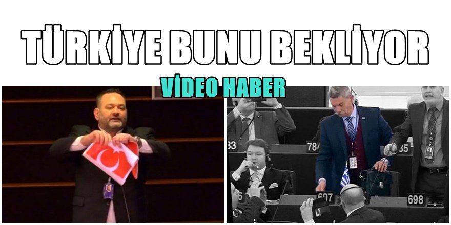 Türklere hakaret eden Yunan Milletvekili AB Parlamentosundan Böyle Kovuldu